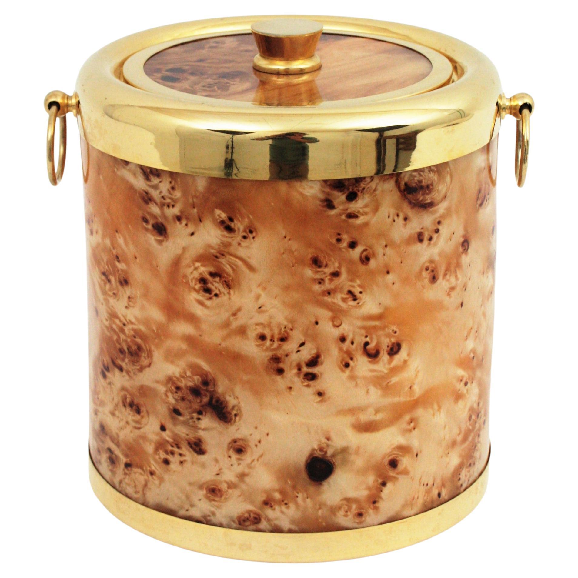 Lucite Ice Bucket Midcentury 1960s For Sale at 1stDibs