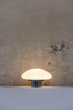 Midcentury Magnolia table lamp by Sergio Mazza and G. Gramigna for Quattrifolio