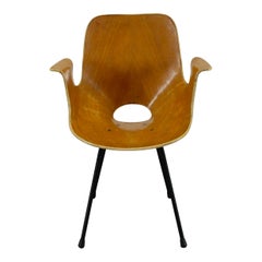 Midcentury Medea Armchair by Vittorio Nobili for Fratelli Tagliabue, Italy, 1956