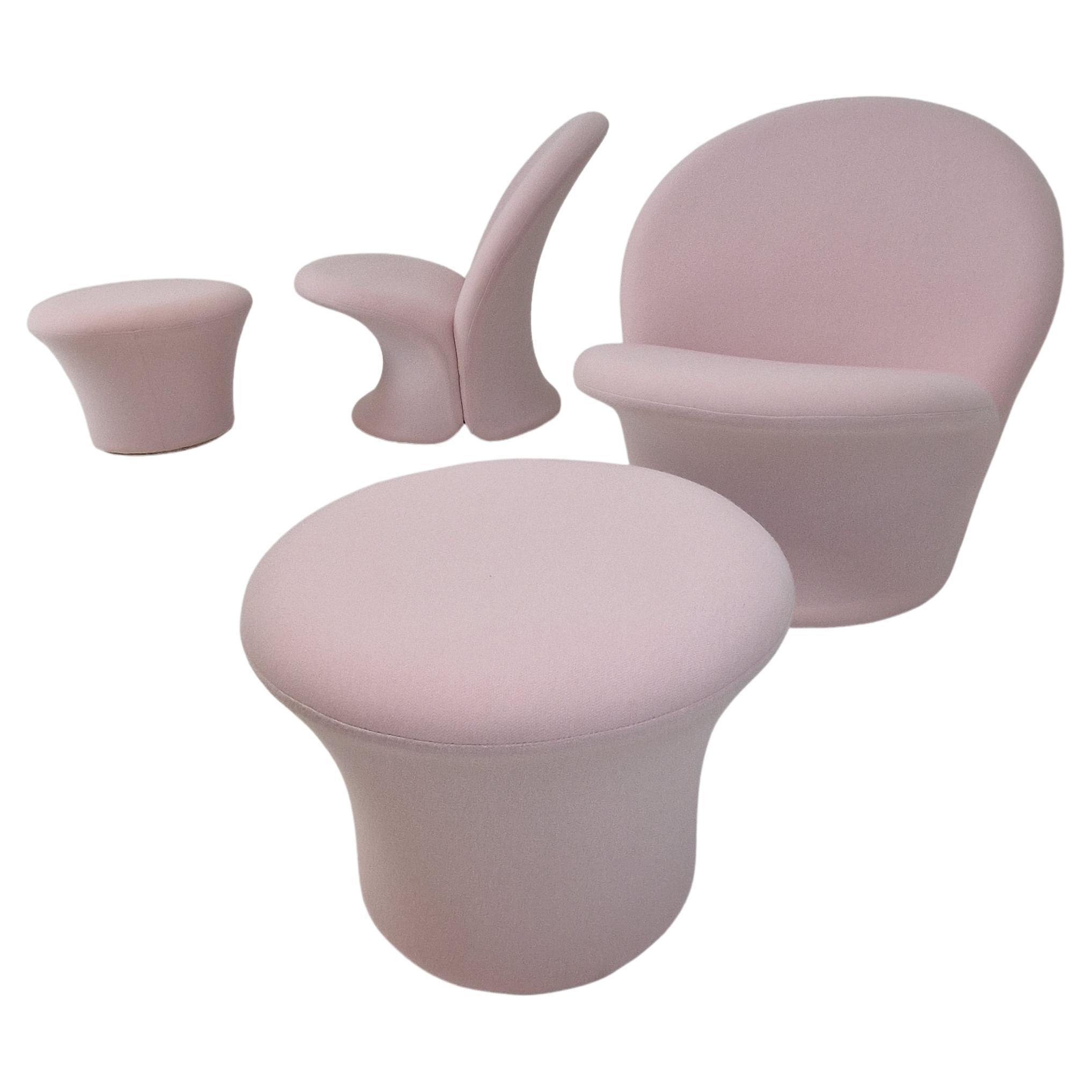 Midcentury Model F572 Lounge Chair with Pouf by Pierre Paulin for Artifort, 1967