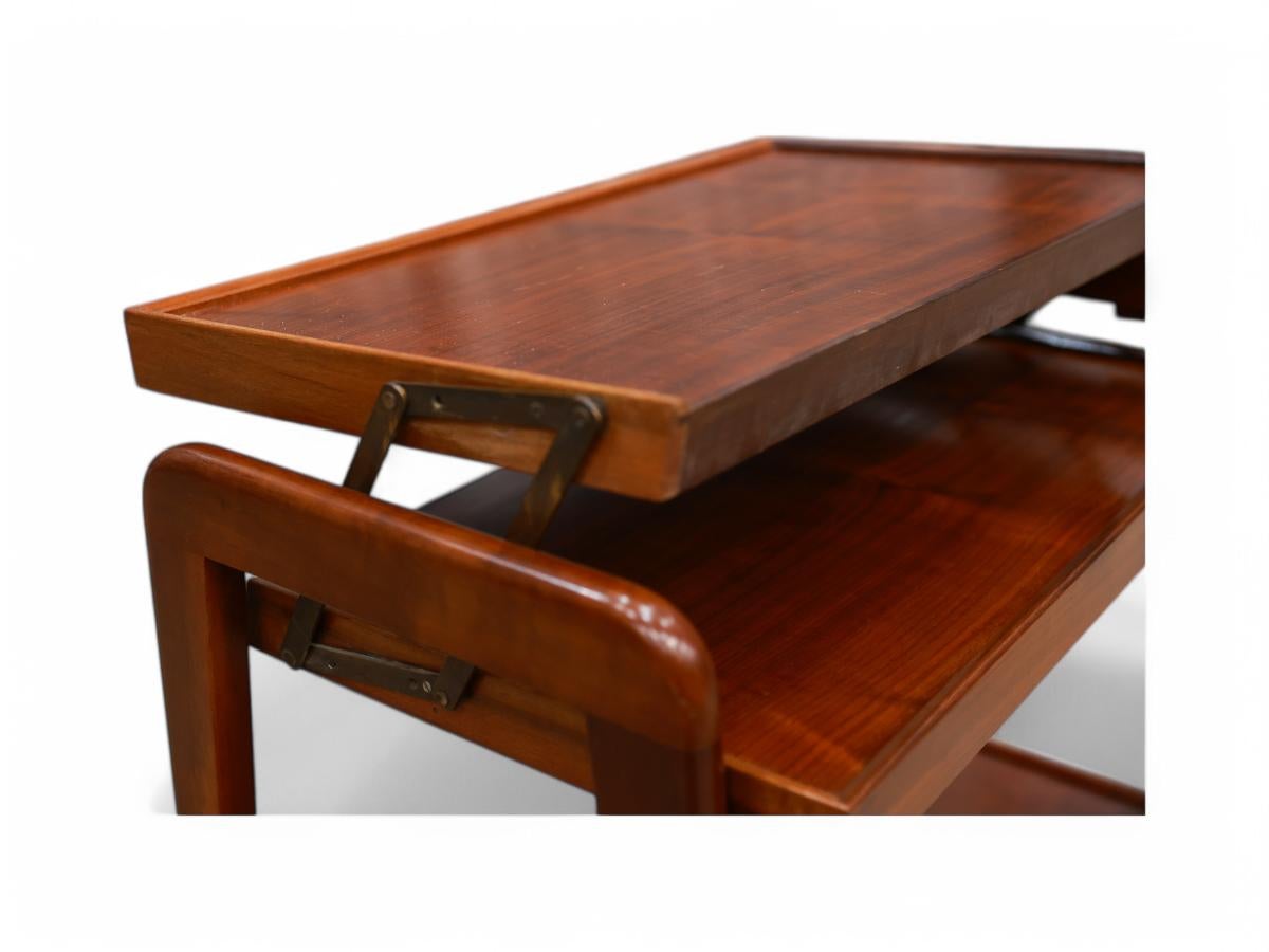 Chariot de bar moderne du milieu du siècle en bois dur et laiton de Ming Moveis, Brésil, années 1950 en vente 2