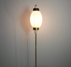 Midcentury Modern Brass and Opaline Glass Italian Floor Lamp, 1960s