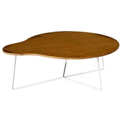Midcentury Modern Design Low Coffee Table, Denmark 1960's