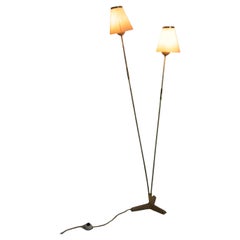 Midcentury Modern Floor Lamp, Germany, 1950s