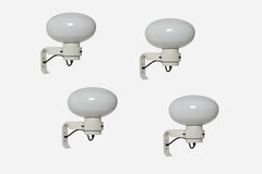 Applique Martinelli Luce di metà secolo, set di 2, Italia, circa 1960