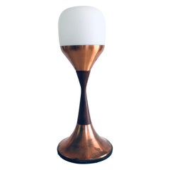 Floor Lamps