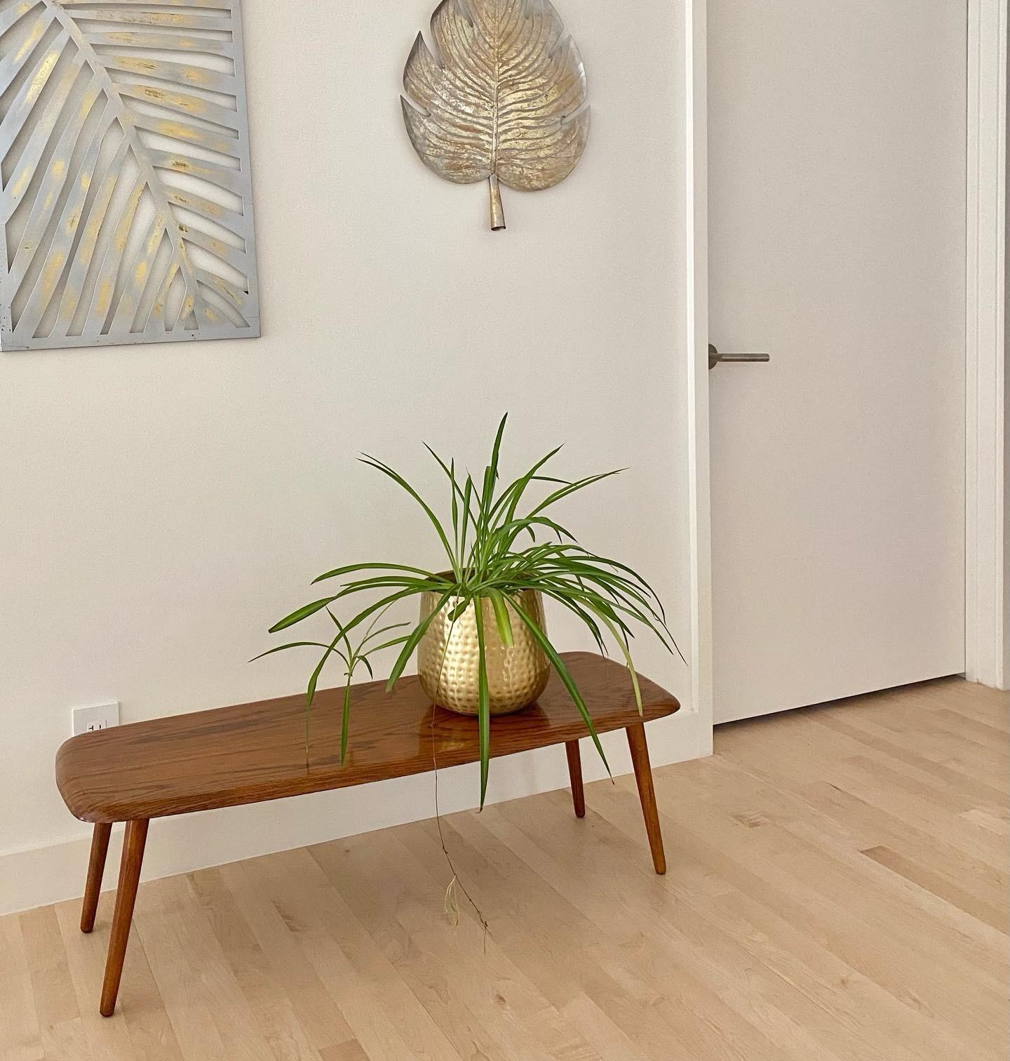 Mid-Century Modern Midcentury Modern Surfboard Coffee Table in Heavily Figured Oak For Sale