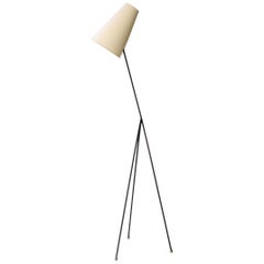 Mid-Century Modern White Black Metal Brass Italian Floor Lamp, 1950