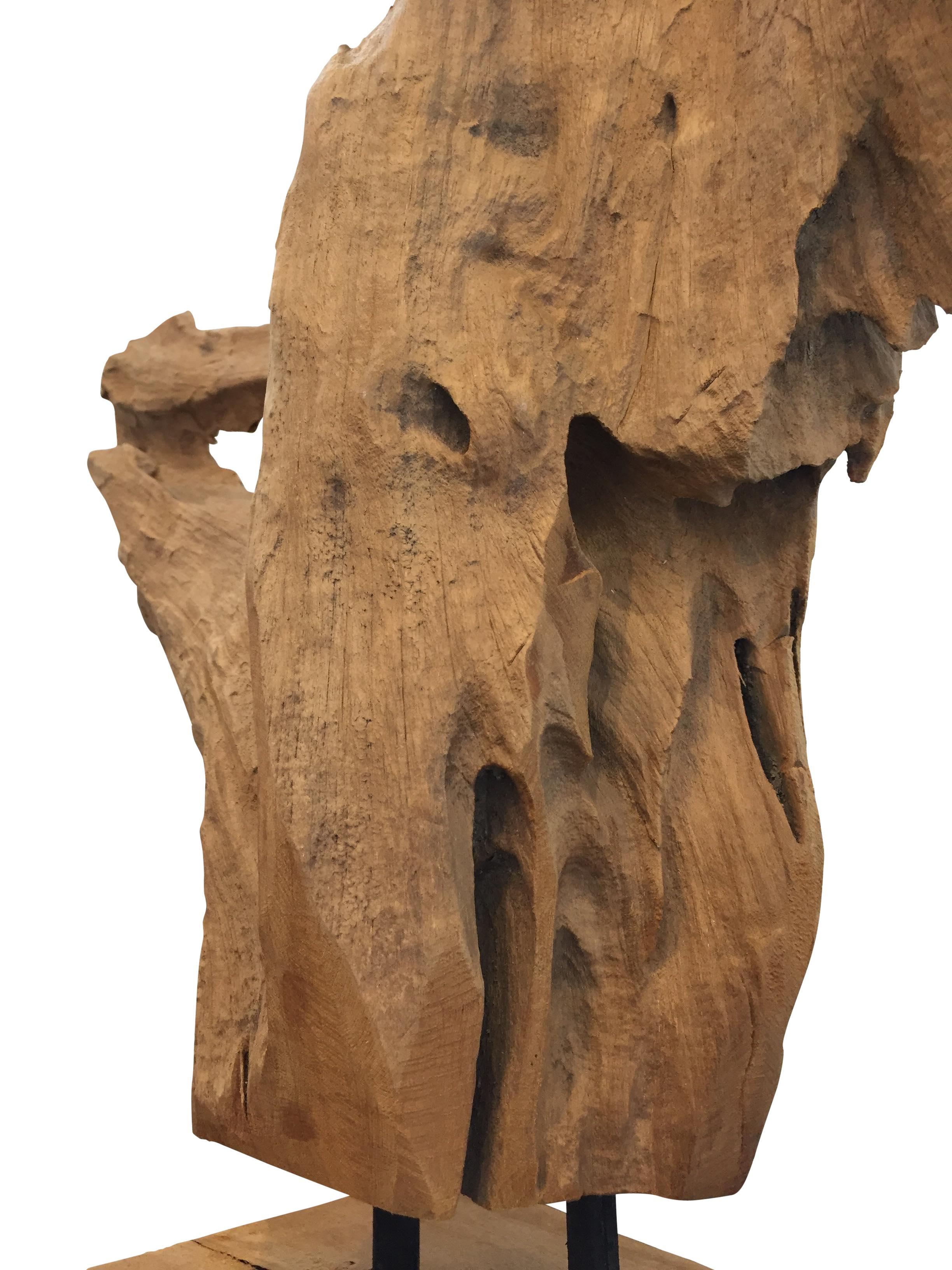 20th Century Midcentury Mounted Driftwood Specimen from the Washington Coastline