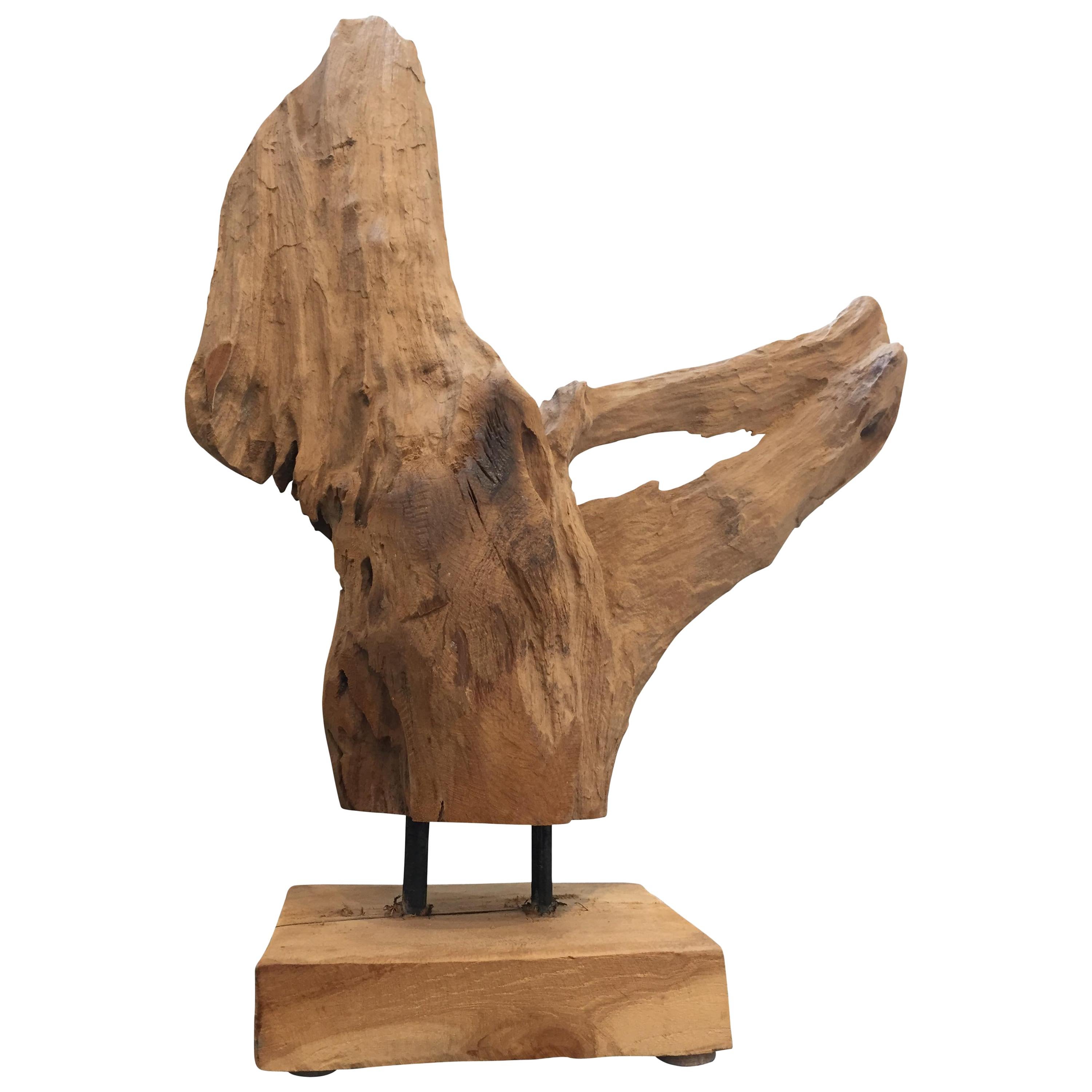 Midcentury Mounted Driftwood Specimen from the Washington Coastline