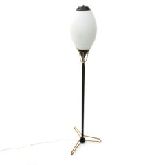 Midcentury Opaline Glass Diffusers Italian Floor Lamp, 1950s