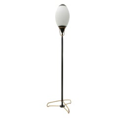 Midcentury Opaline Glass Diffusers Italian Floor Lamp, 1950s