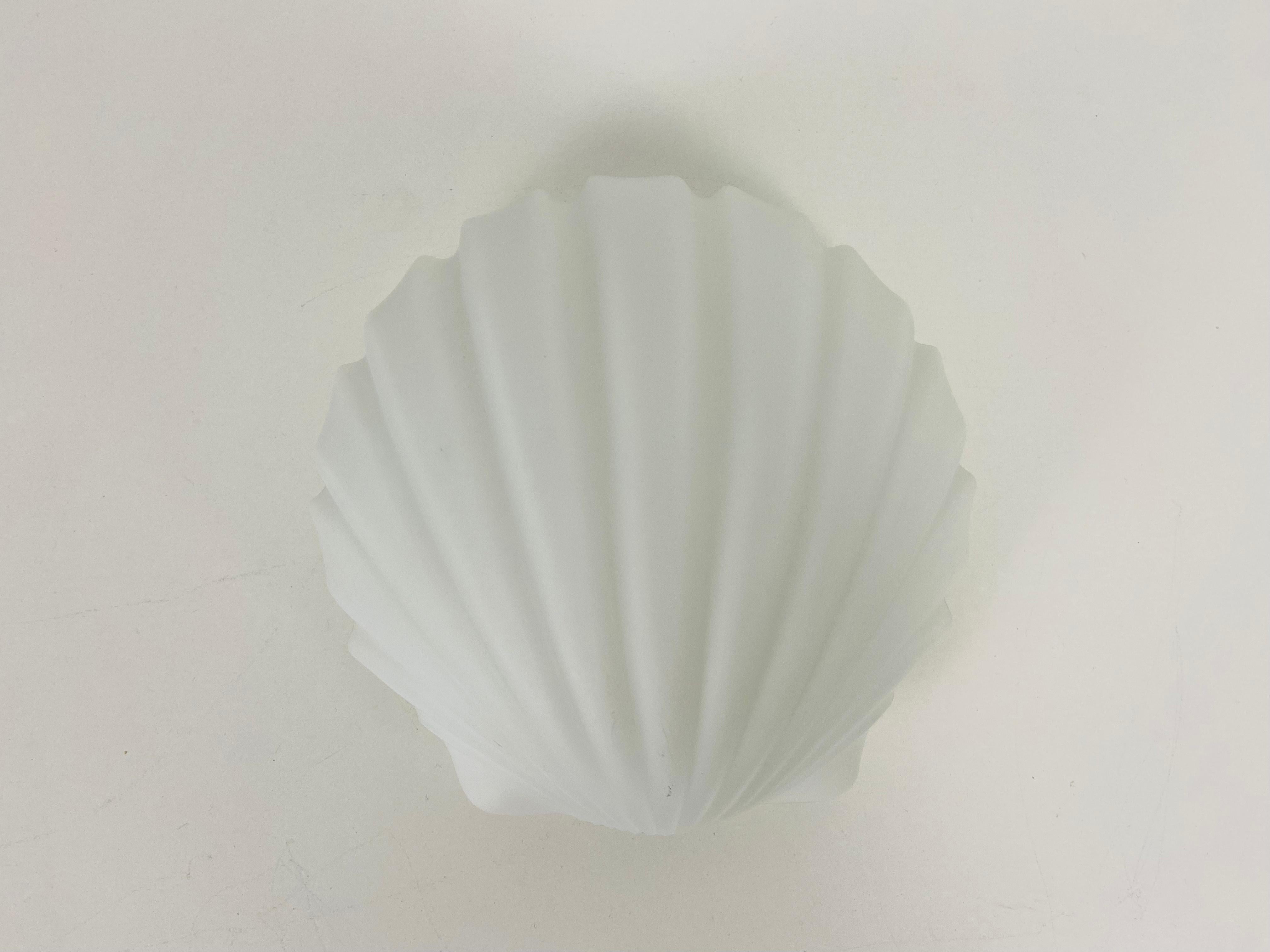 opaline shell