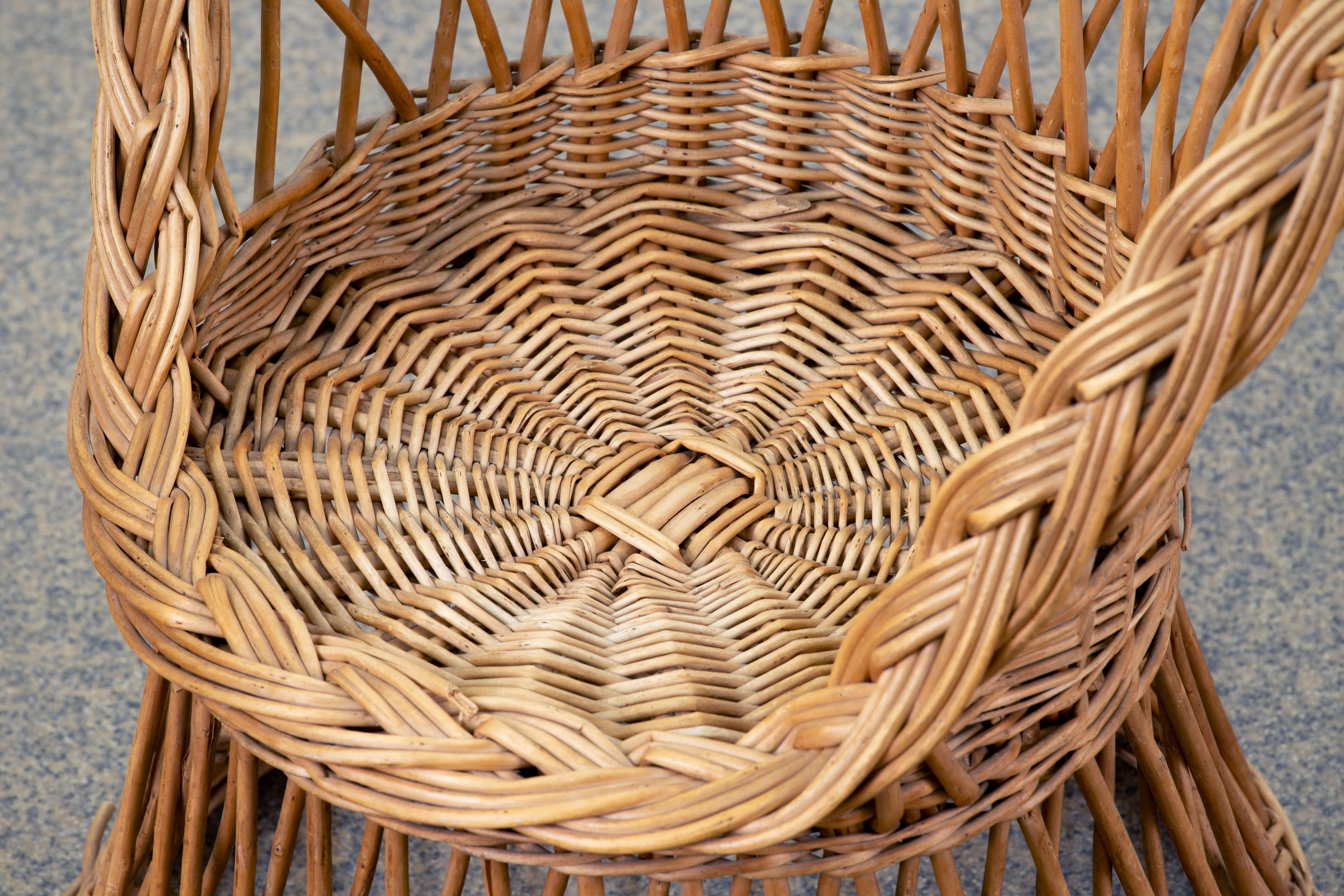French Midcentury Organic Kid Rattan Chair, 1960s, France For Sale