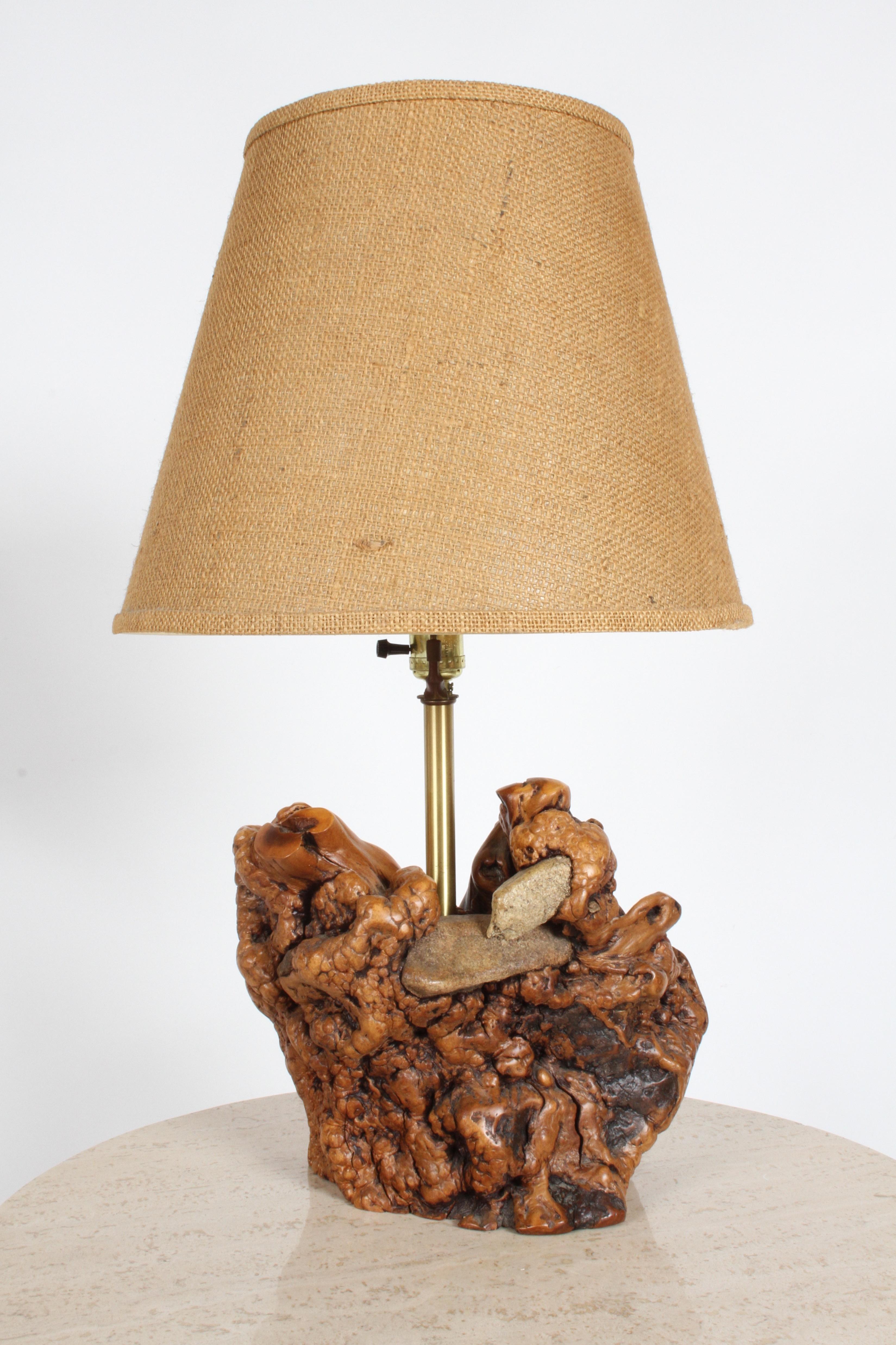 Nice vintage tree root or driftwood lamp sculpted by nature with embedded rocks that tree grew around. This comes from the estate of Morton D. May of May Department stores, major art collector of Pre-Columbian Art, Oceanic Art, Max Beckmann etc,
