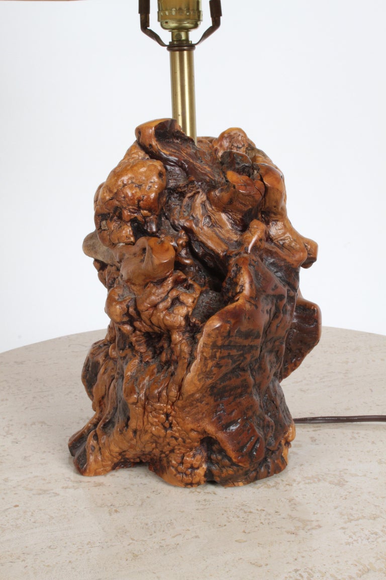 Midcentury Organic Modern Tree Root Lamp For Sale at 1stdibs