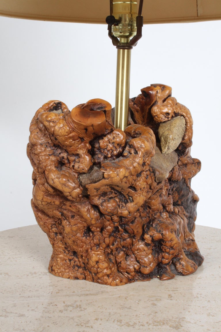 Mid Century Organic Rustic Modern Tree Root Lamp For Sale at 1stDibs