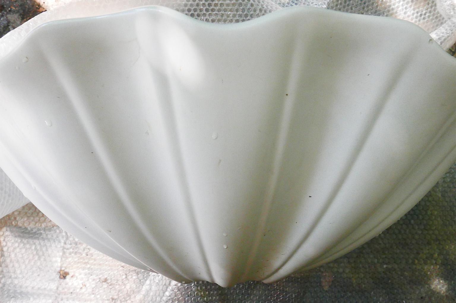 Midcentury Pair of Porcelain Wash basins, Antonia Campi for Lavenite Ginori 1960 2