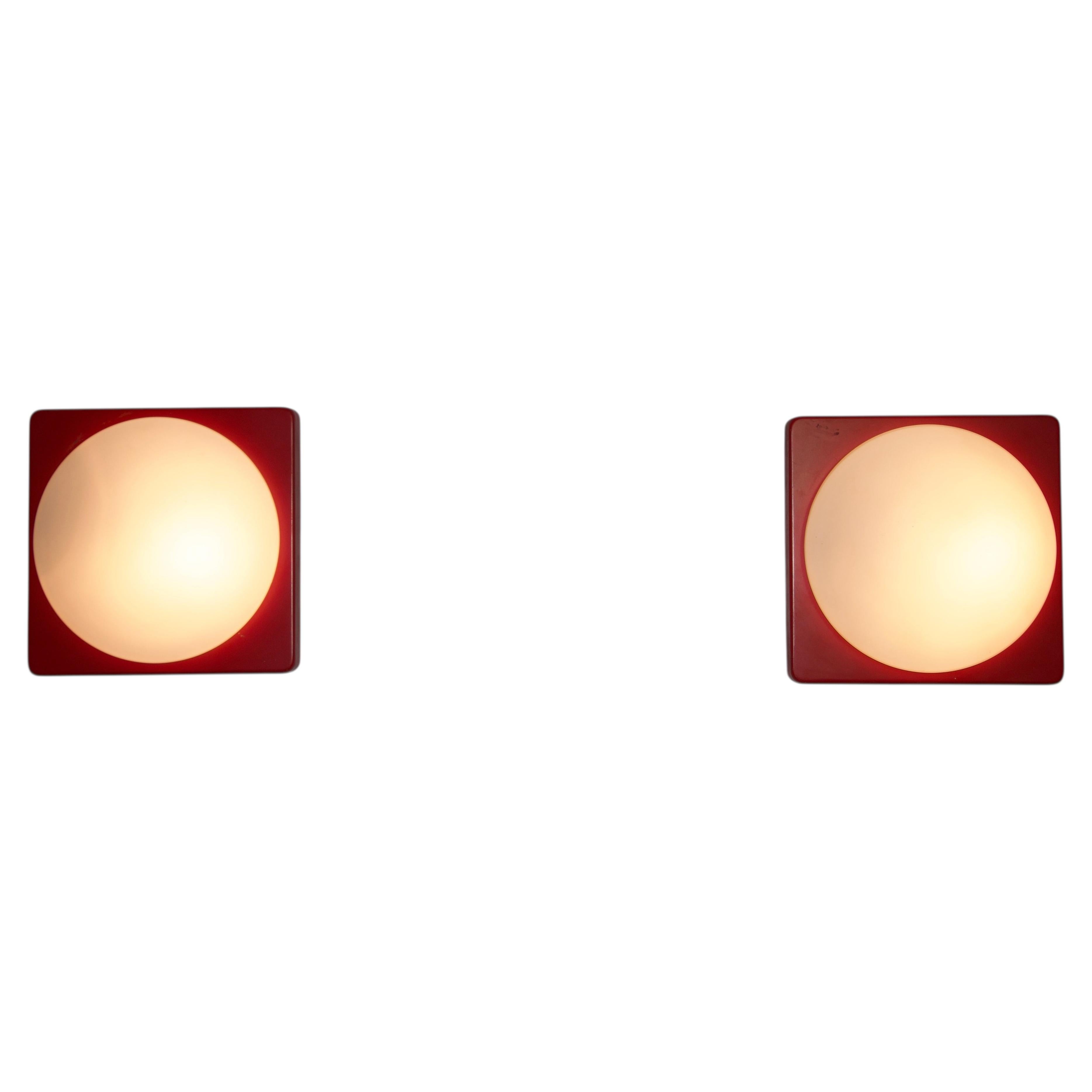 What is the difference between a lamp and a light?