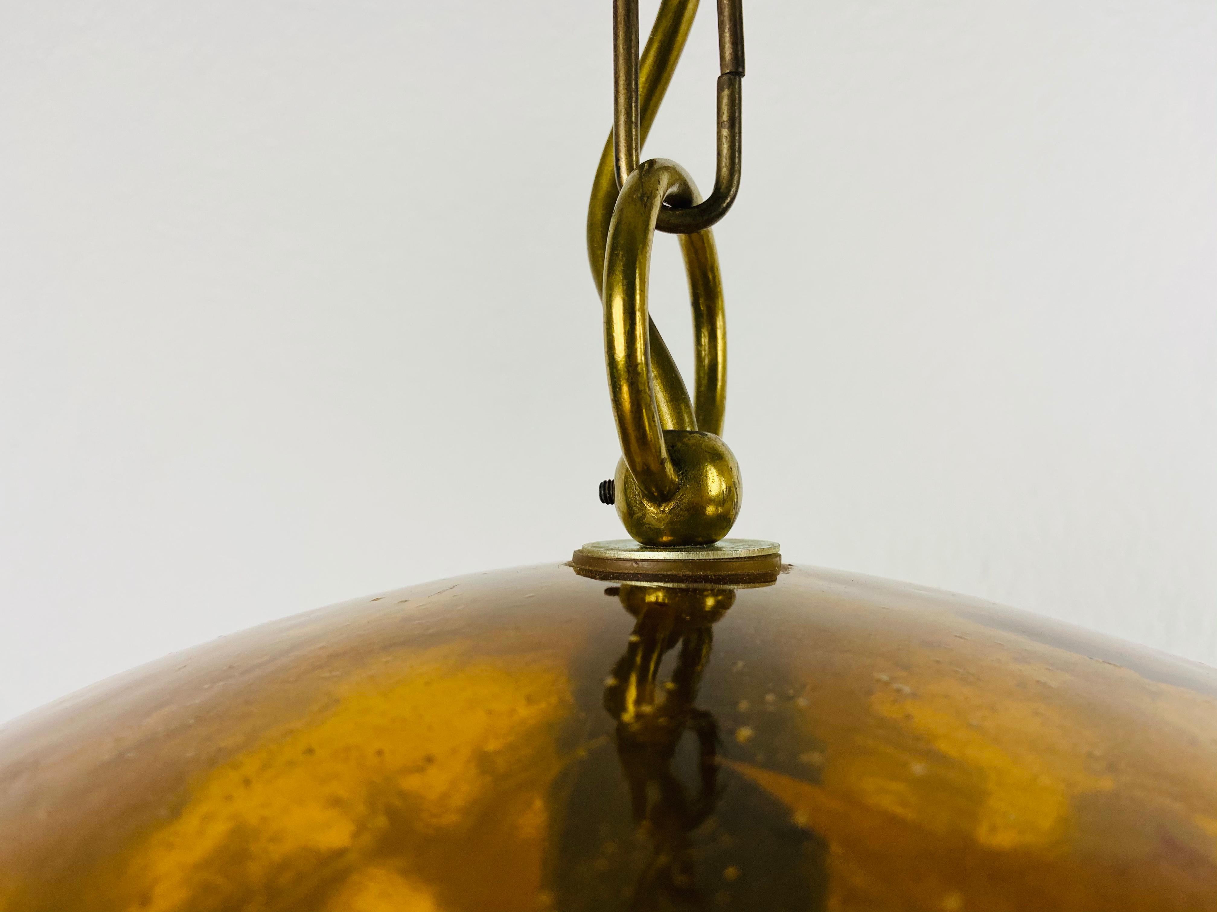 Lampada a sospensione in plexiglass del Medioevo con foglie vere, Germania, anni '60 in vendita 4