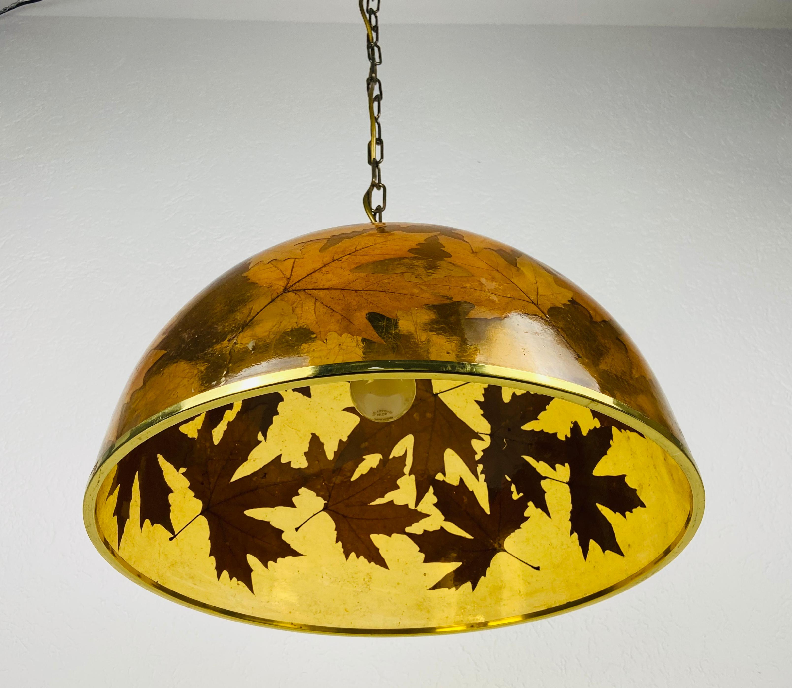 Mid-Century Modern Midcentury Plexiglass Pendant Lamp with Real Leaves, Germany, 1960s For Sale
