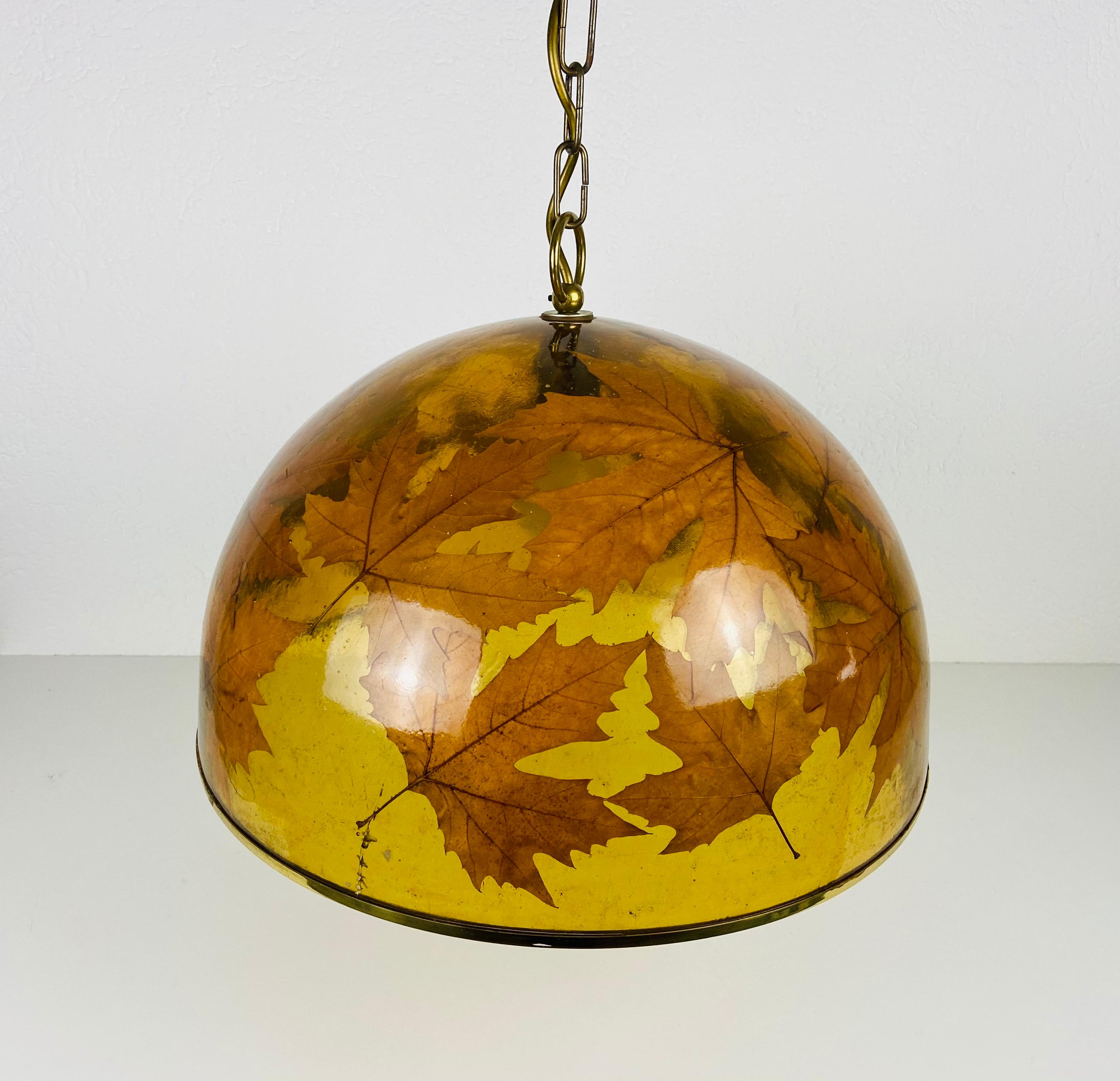 Mid-20th Century Midcentury Plexiglass Pendant Lamp with Real Leaves, Germany, 1960s For Sale