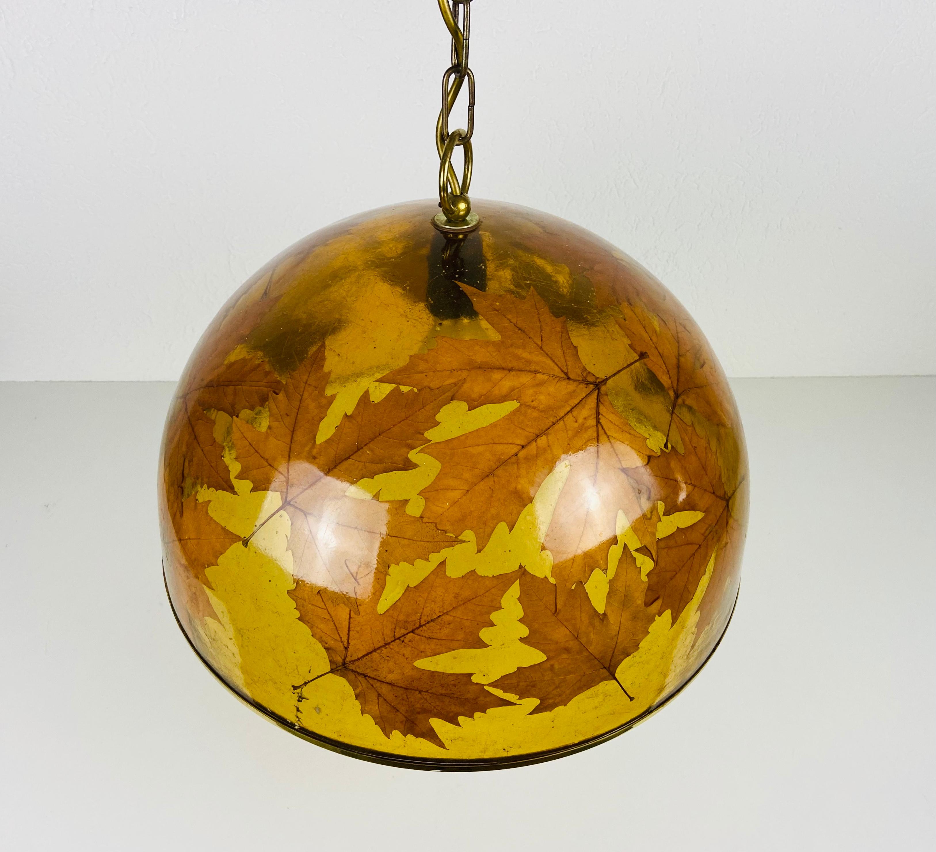 Plastic Midcentury Plexiglass Pendant Lamp with Real Leaves, Germany, 1960s For Sale