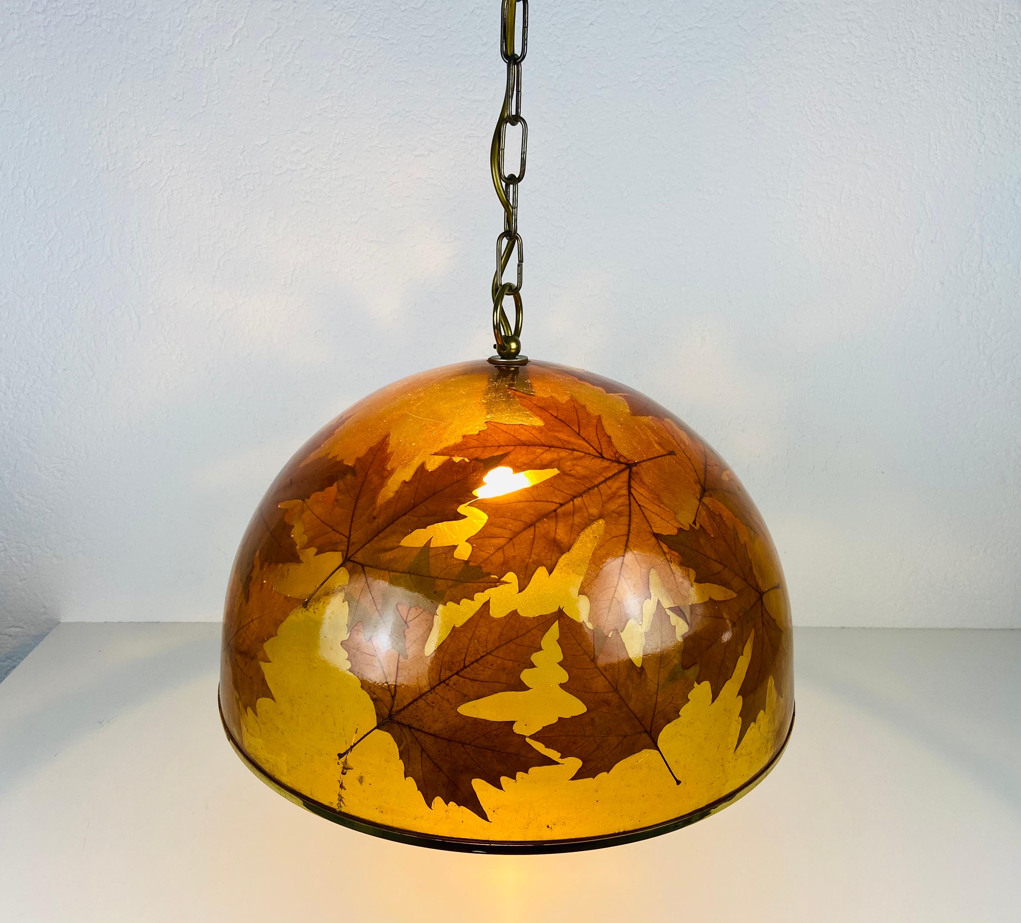 Midcentury Plexiglass Pendant Lamp with Real Leaves, Germany, 1960s For Sale 1
