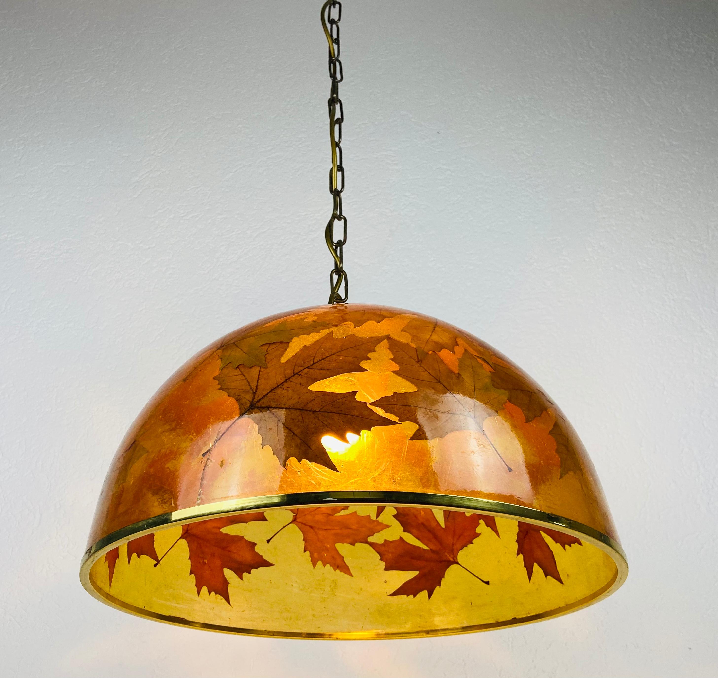 Midcentury Plexiglass Pendant Lamp with Real Leaves, Germany, 1960s For Sale 2