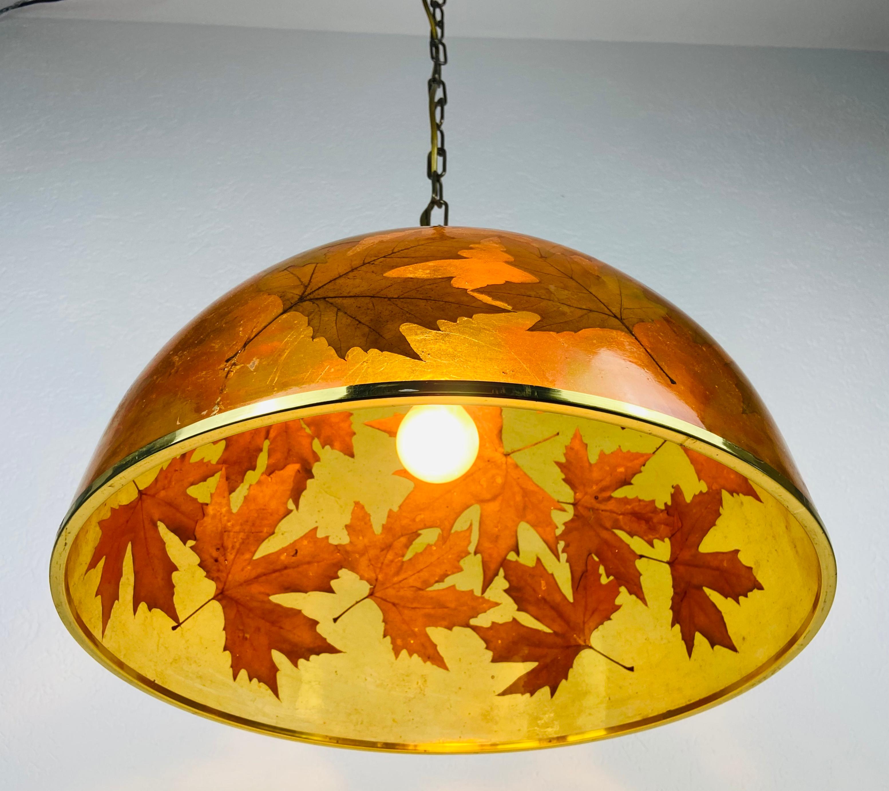 Midcentury Plexiglass Pendant Lamp with Real Leaves, Germany, 1960s For Sale 3