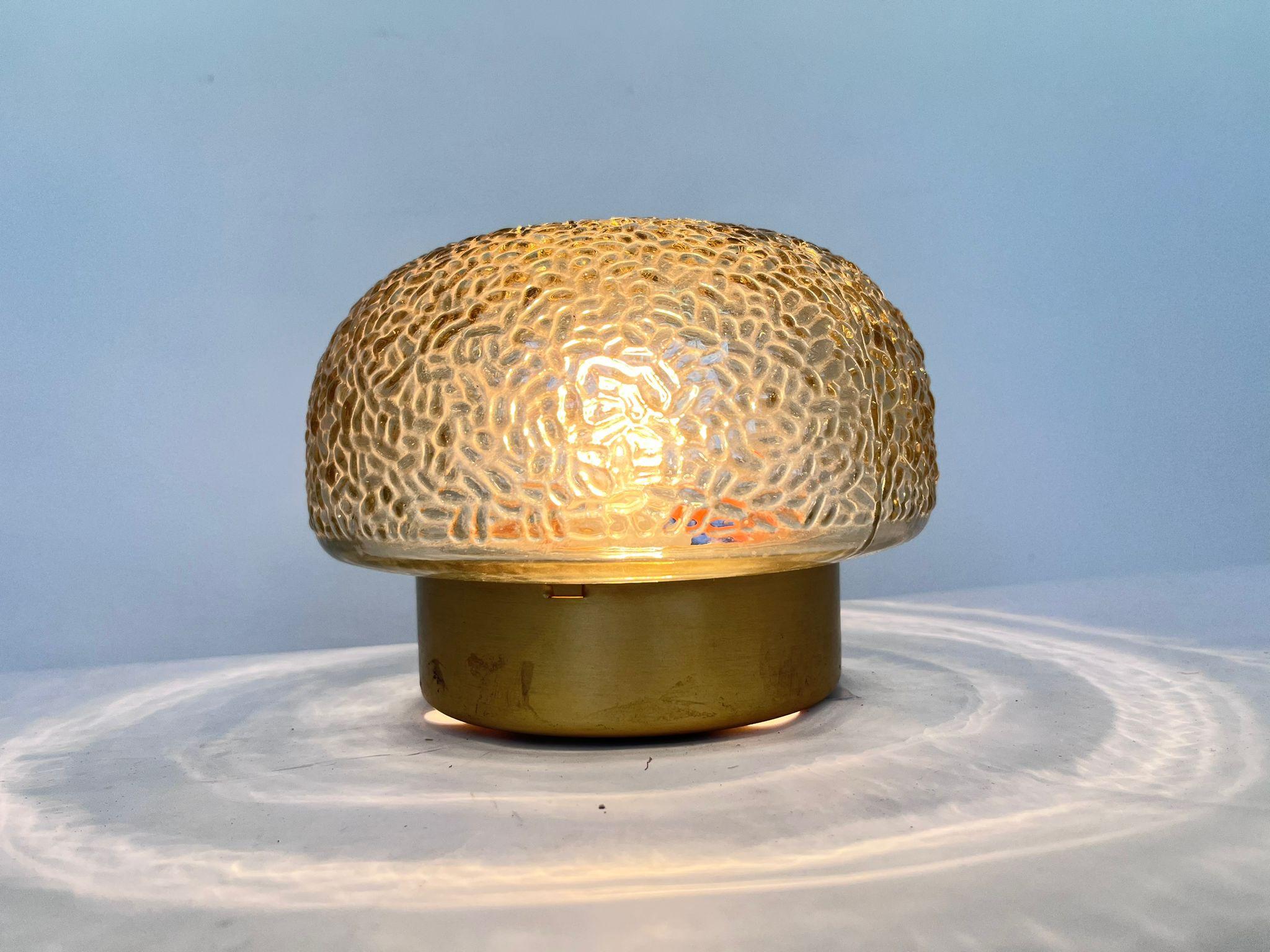 Late 20th Century Midcentury Rare Flush Mount, Ceiling or Wall Lamp, Germany, 1970s For Sale