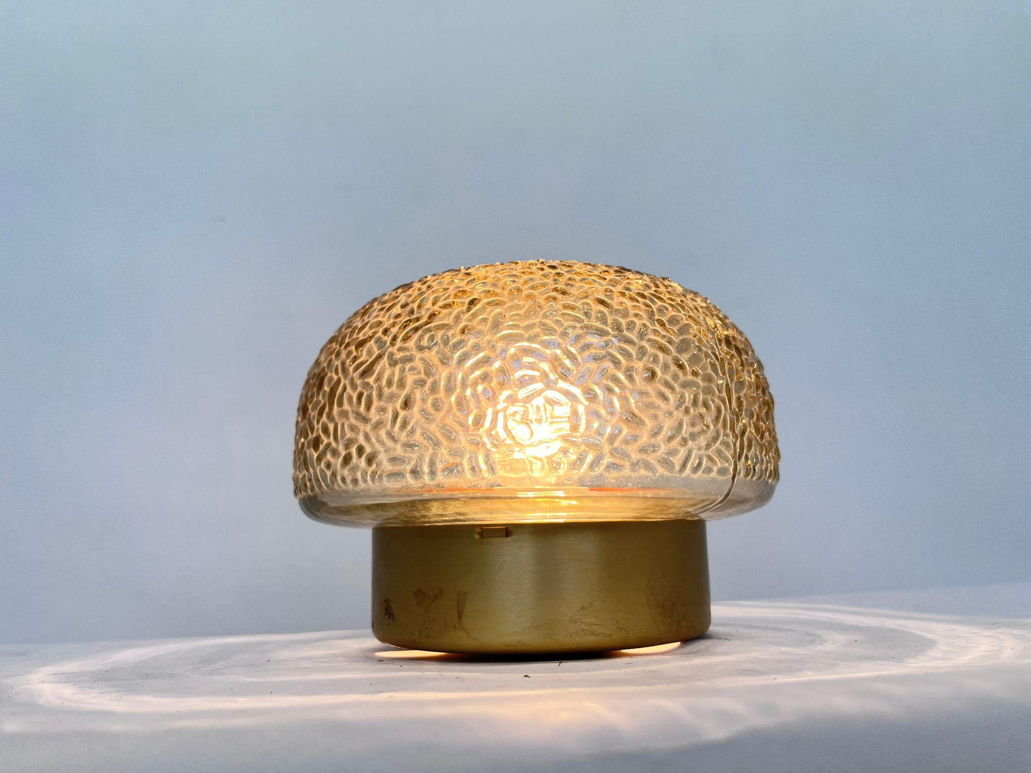 Glass Midcentury Rare Flush Mount, Ceiling or Wall Lamp, Germany, 1970s For Sale