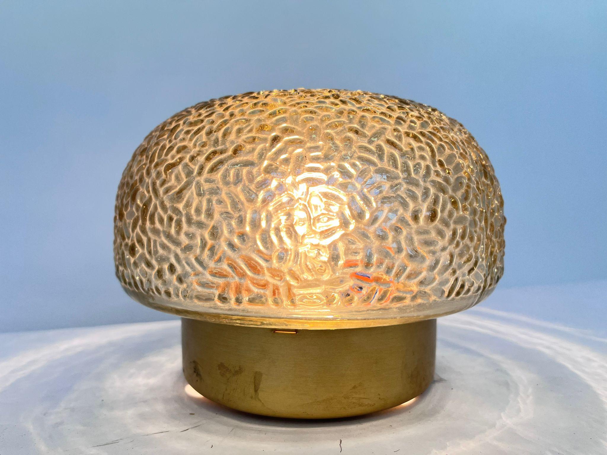 Midcentury Rare Flush Mount, Ceiling or Wall Lamp, Germany, 1970s For Sale 1