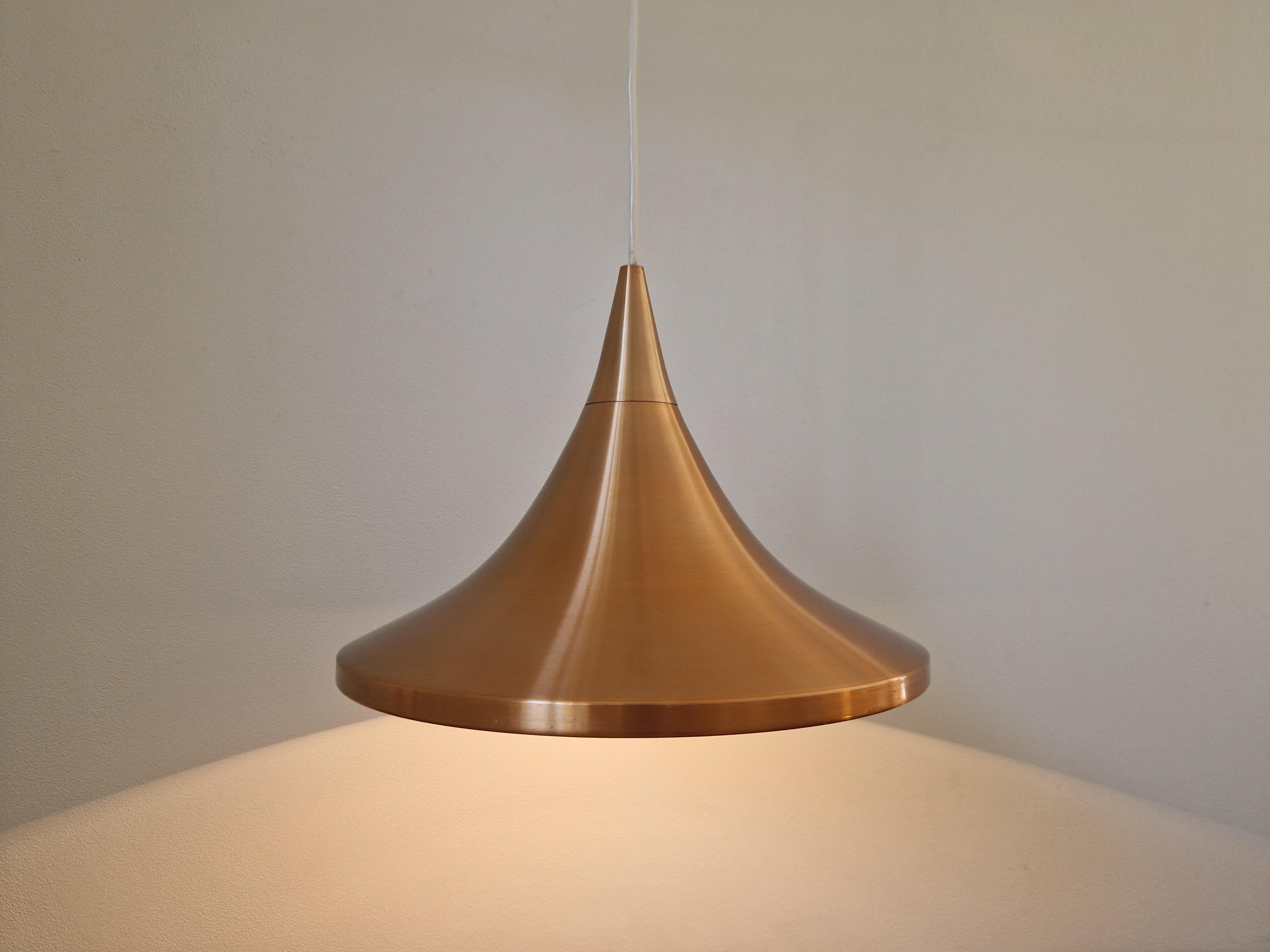 Mid-Century moderno Ciondolo raro del medio secolo, Danimarca, anni '70 in vendita