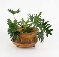 Jardinera o cesta de ratán de mediados de siglo Atribuida Vivai del Sud, Italia Años 60