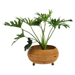 Retro Midcentury Rattan Plant Holder Vivai Del Sud Style, Italy 1960s