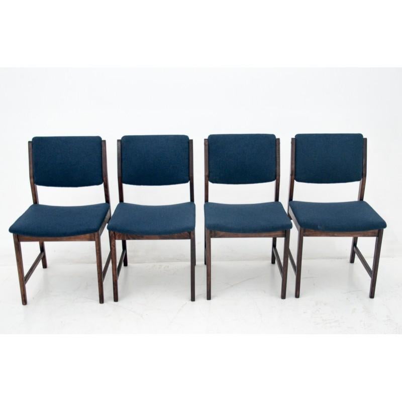 Midcentury Retro Dining Chairs after Renovation, Polish Design, 1960s 2