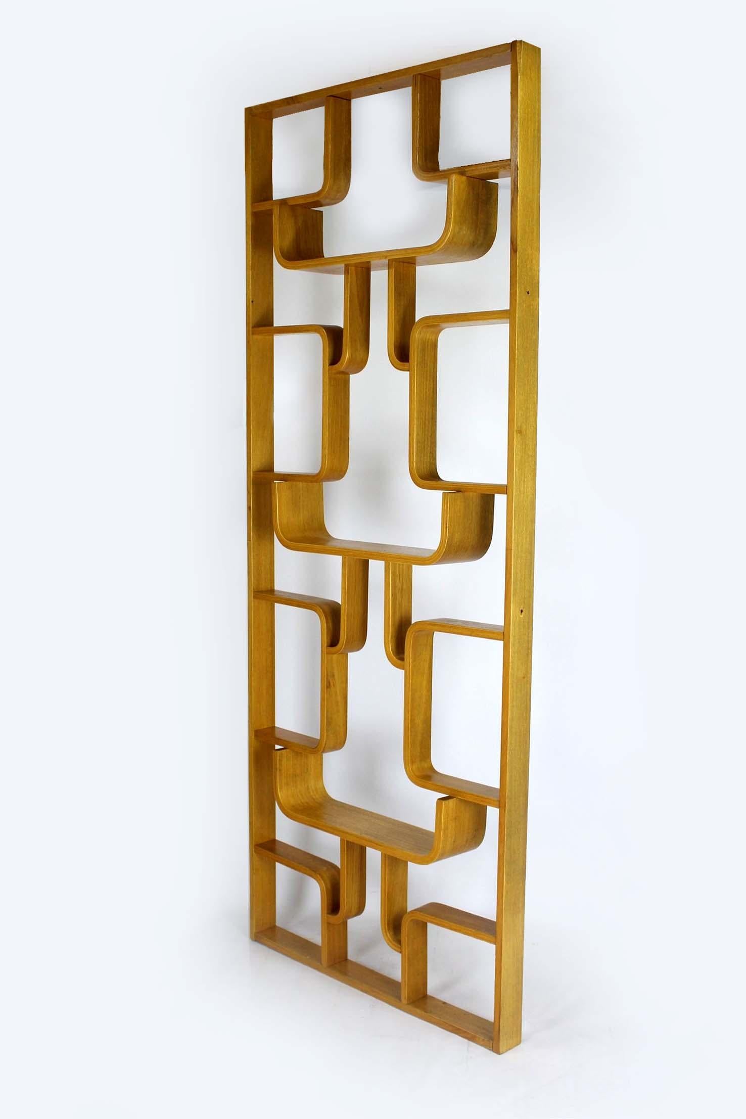 Midcentury Room Divider by Ludvik Volak for Drevopodnik Holesov, 1960s For Sale 6