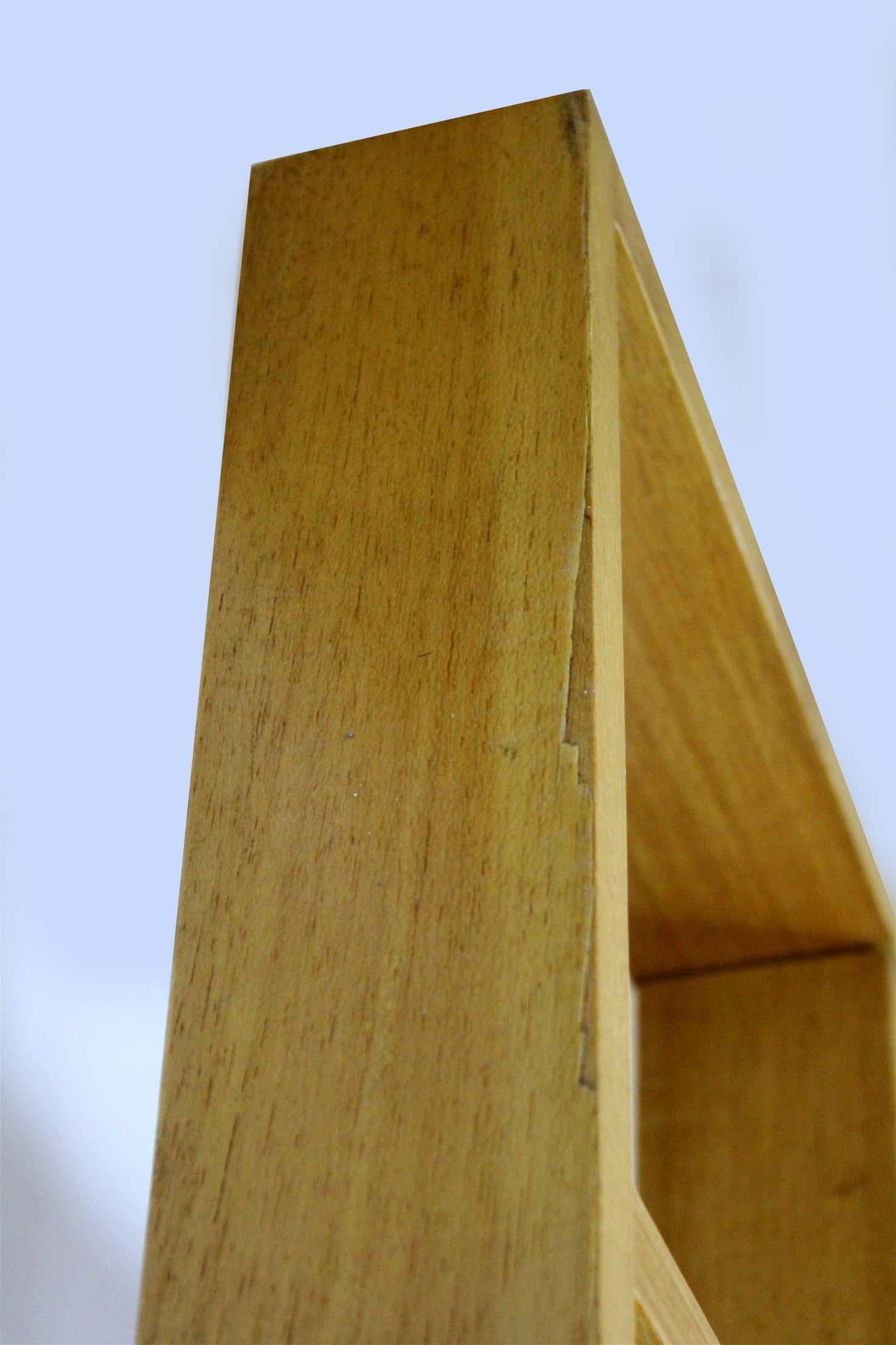 Midcentury Room Divider by Ludvik Volak for Drevopodnik Holesov, 1960s For Sale 2