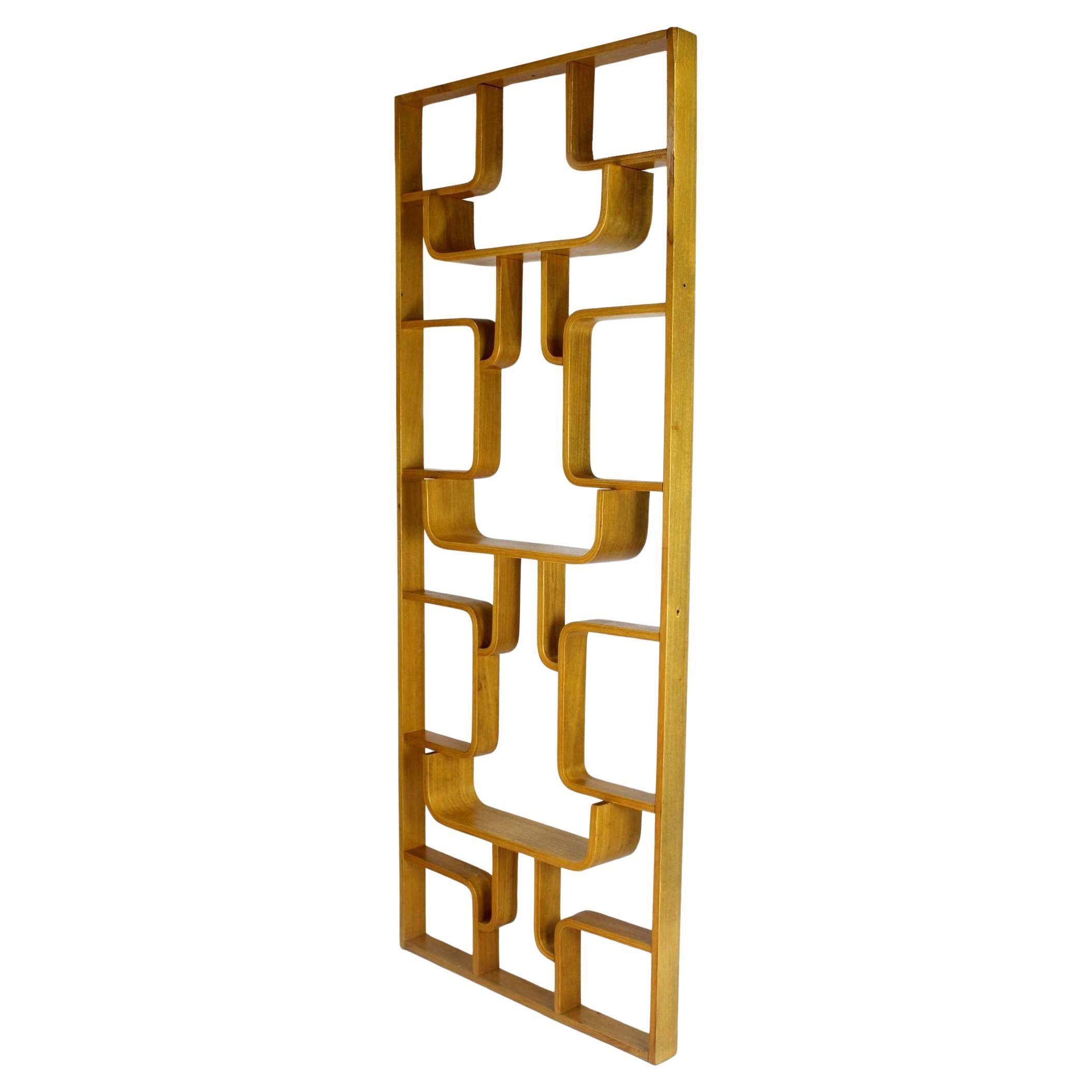 Midcentury Room Divider by Ludvik Volak for Drevopodnik Holesov, 1960s