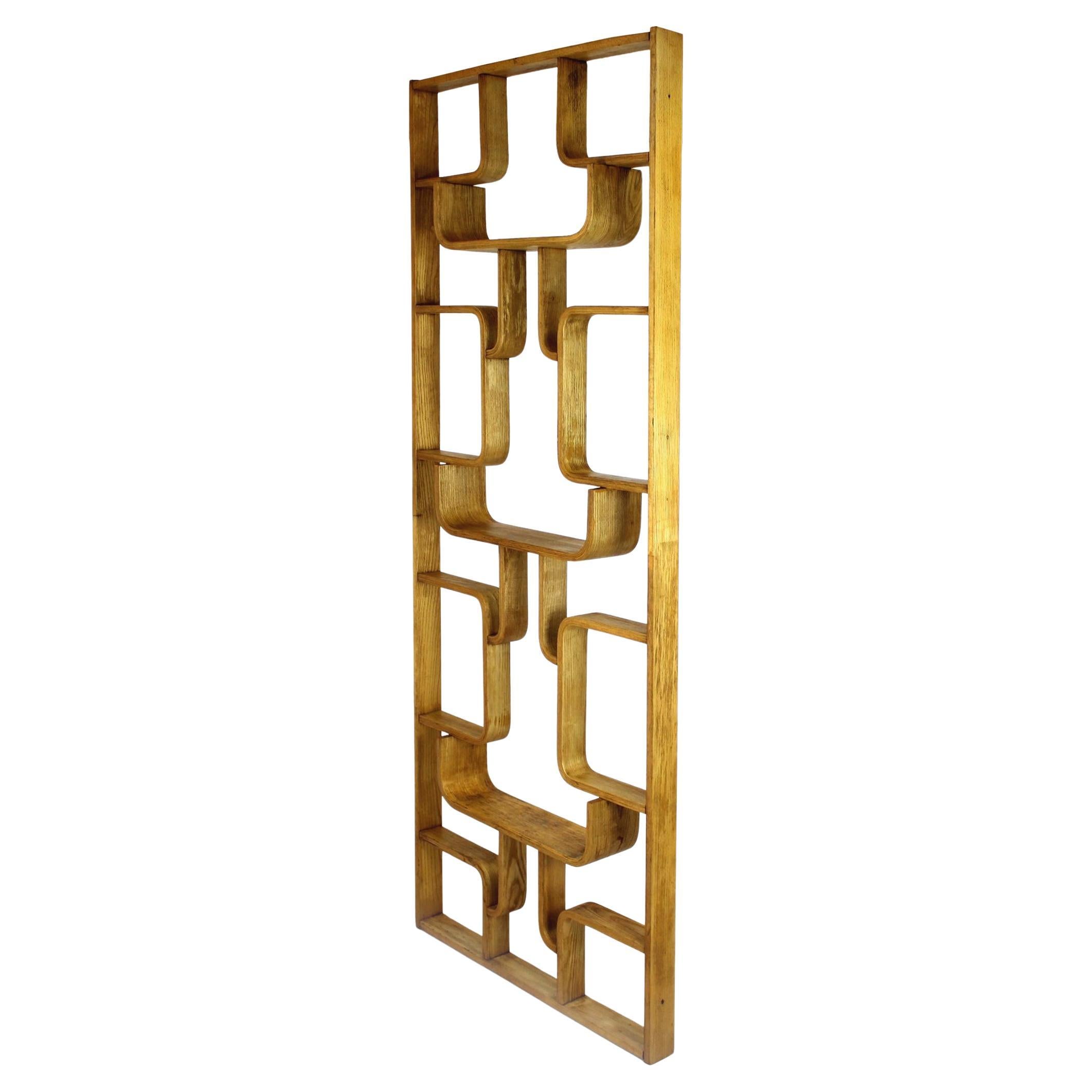Midcentury Room Divider by Ludvik Volak for Drevopodnik Holesov, 1960s