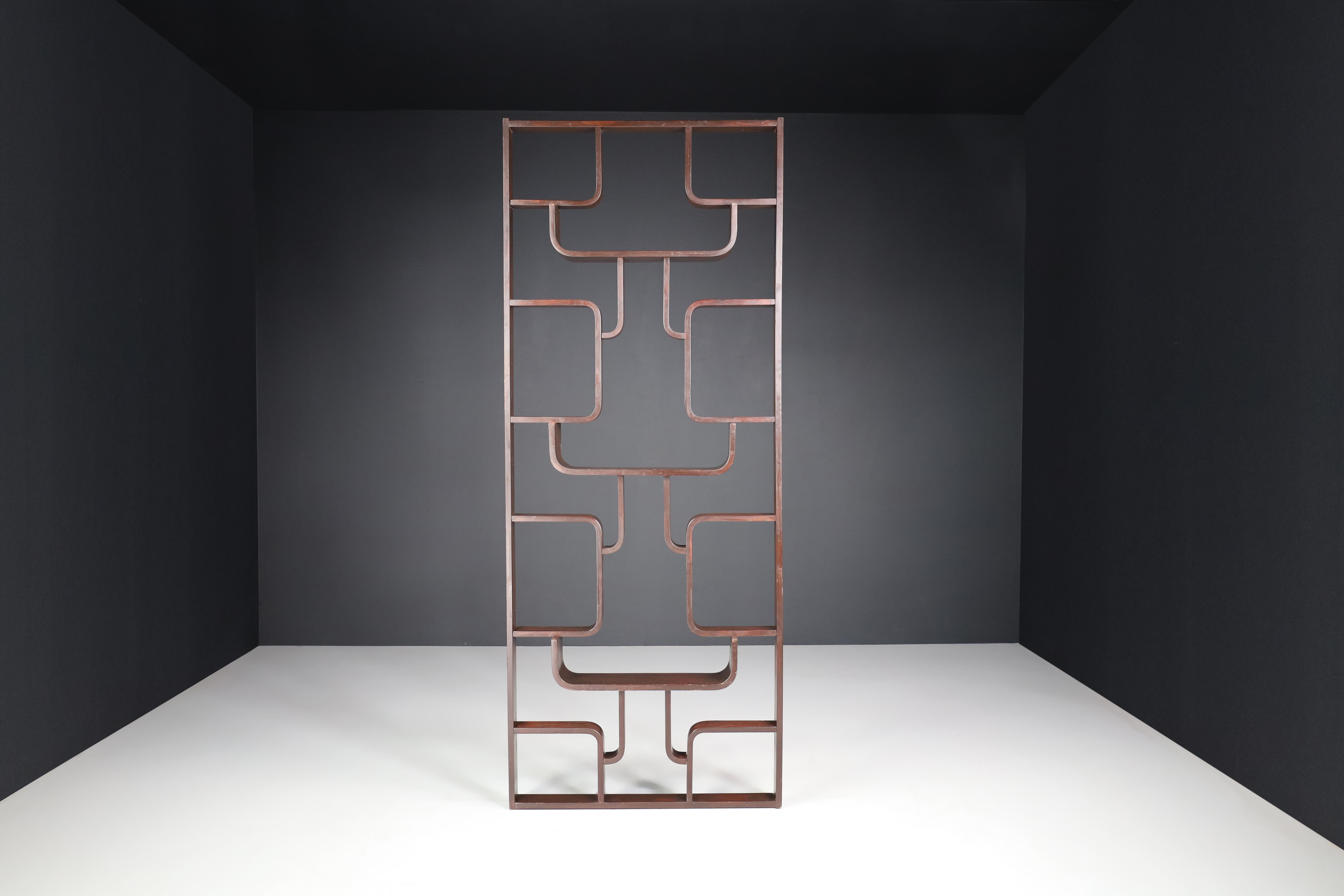 Bentwood Midcentury Room Divider in Dark Stained Bent-Wood by Ludvik Volak, Praque 1960s For Sale