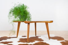 Midcentury Round Coffee Table in Glass and Oak by William Watting for Fristho