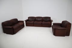 Midcentury Saddle-Stitched Leather Seating Group Ds-12 by De Sede, Switzerland
