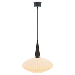 Lampe à suspension scandinave du milieu du siècle dernier, wengé avec abat-jour opalin optique