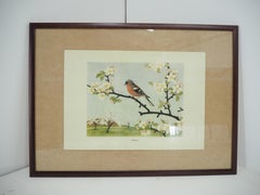 Midcentury School Poster, Czechoslovakia, 1960s