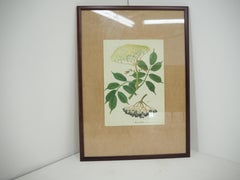 Midcentury School Poster, Czechoslovakia, 1960s