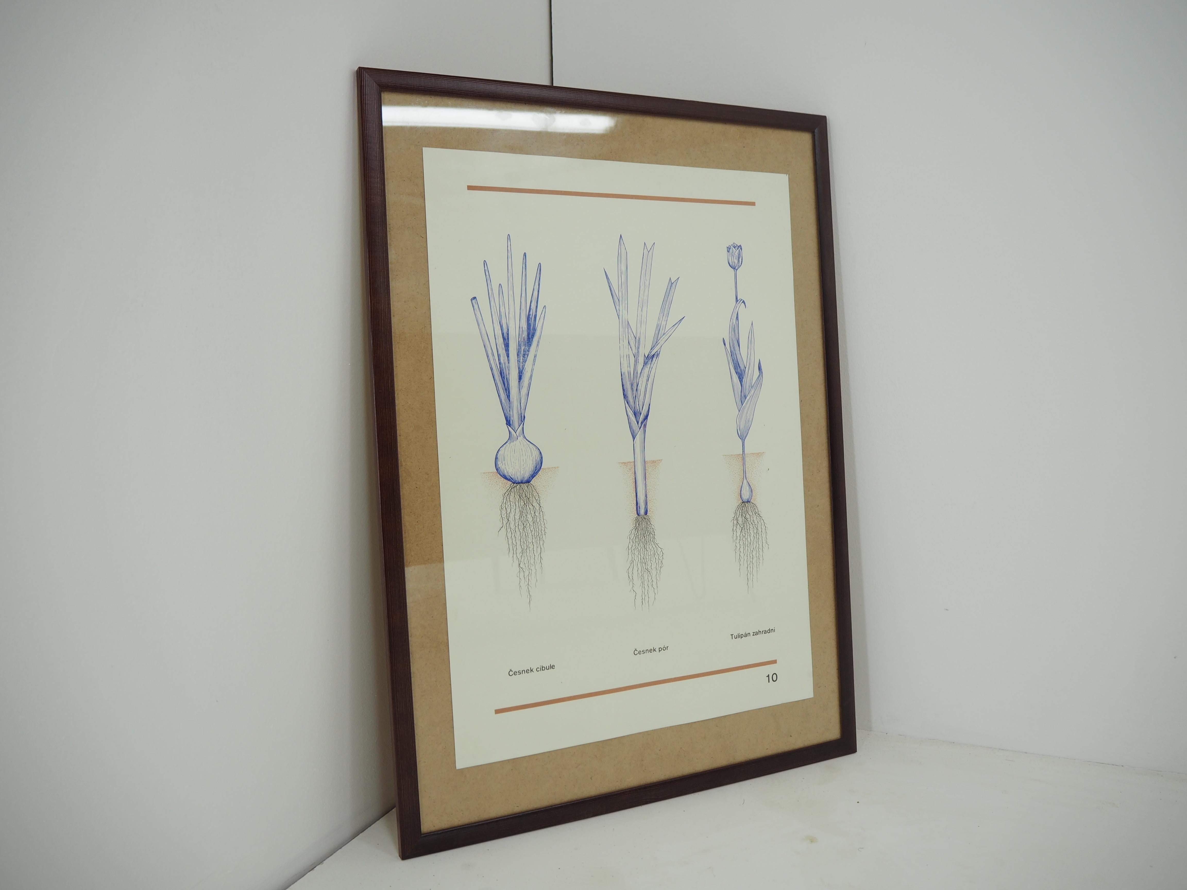 In new frame
Poster from midcentury 
In original condition.