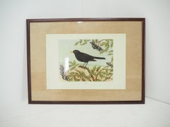 Midcentury School Poster, Czechoslovakia, 1960s