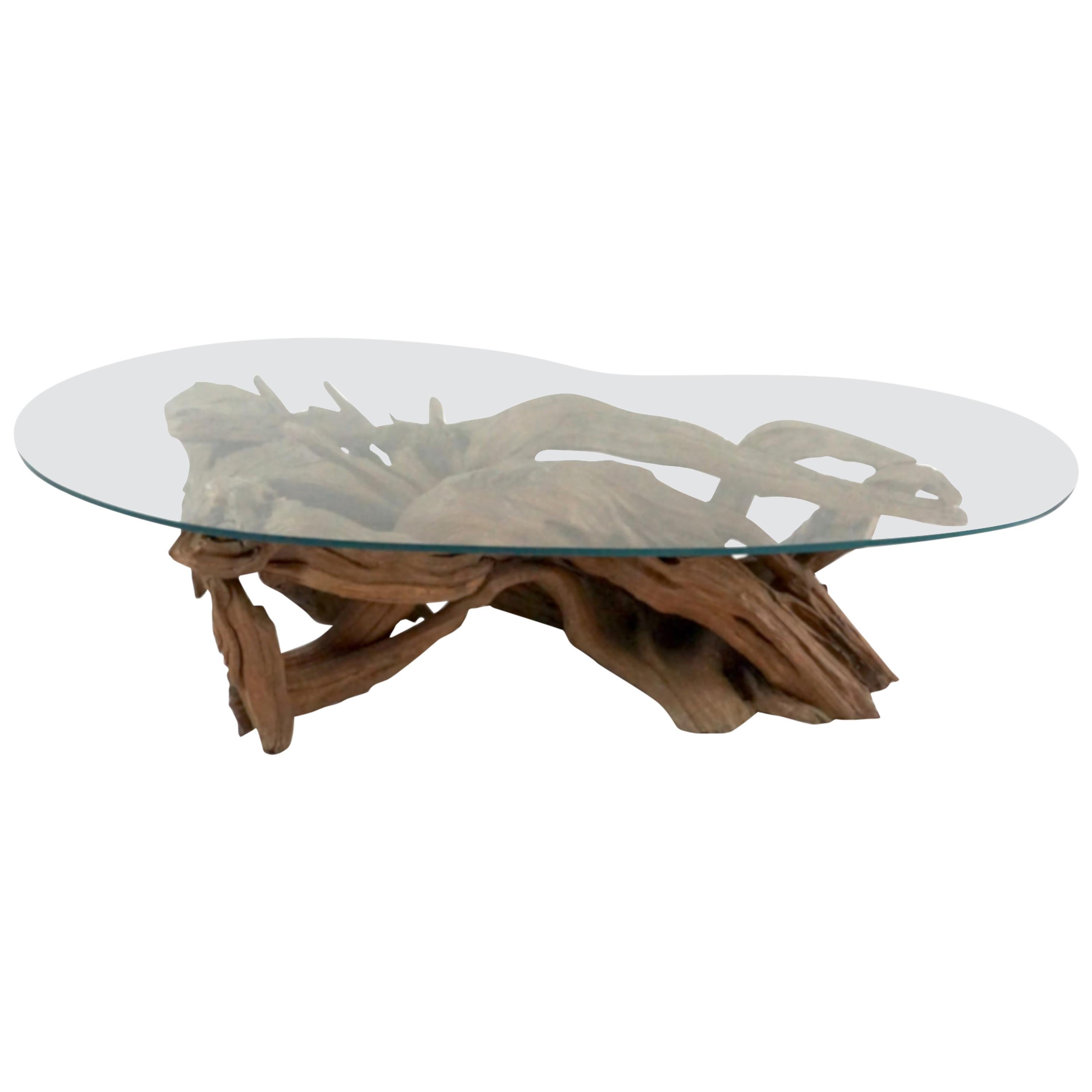 Midcentury Sculptural Driftwood Coffee Table with Biomorphic Freeform Glass Top